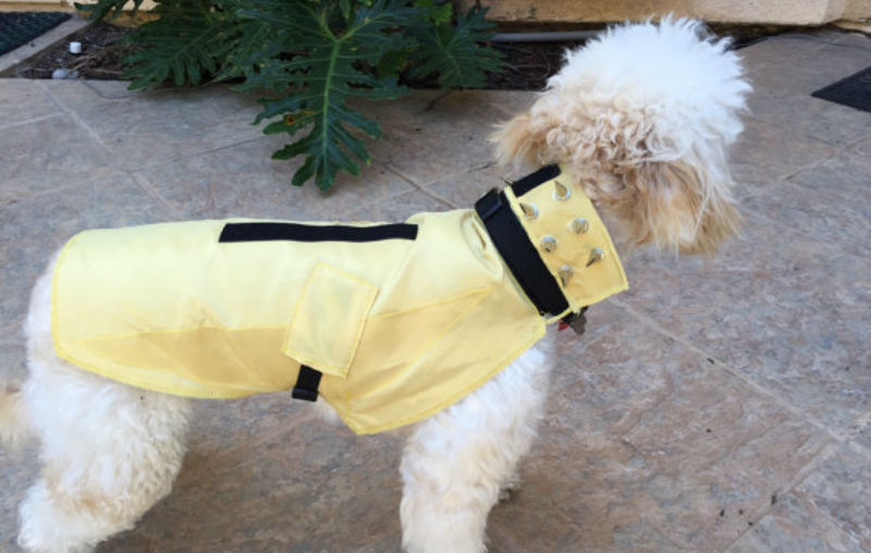 Illustration for article titled Turn Your Dog Into a Punk Porcupine Weapon With This Anti-Coyote Kevlar VestÂ